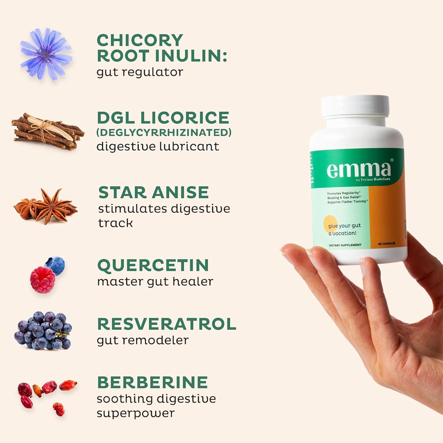 Gut Health Doctors Endorsed Supplement - 60 Capsules - Relief from Gas and Bloating, Repairs Leaky Gut with Magnesium, Berberine, Vitamin D, Quercetin & More - Gut Health & Colon Cleanse Formula