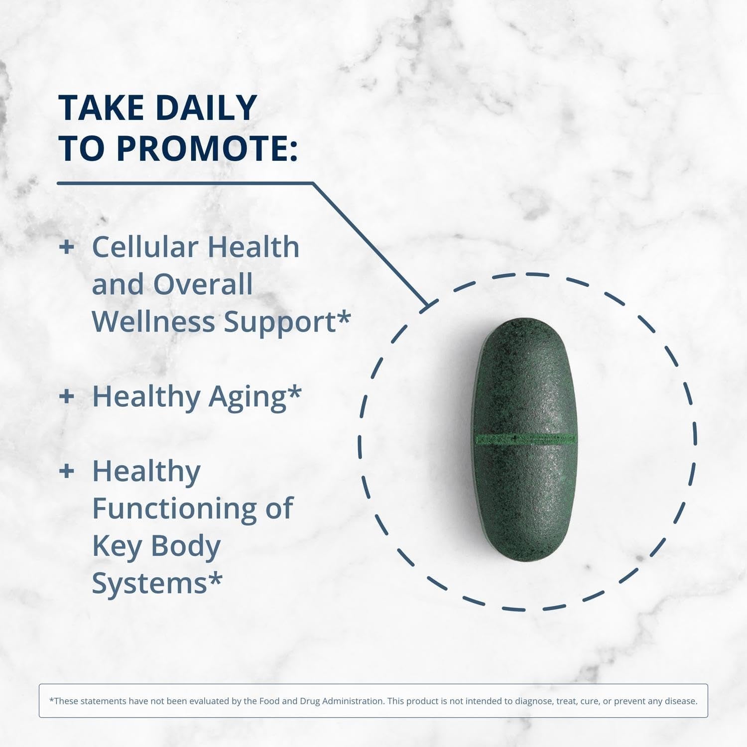 Phytomulti Multivitamin with Iron - Daily Multivitamins with Phytonutrients - Multivitamin for Men & Women - Phytomulti Vitamin Supplement - with Iron, Zinc & B6 Vitamins - 60 Tablets