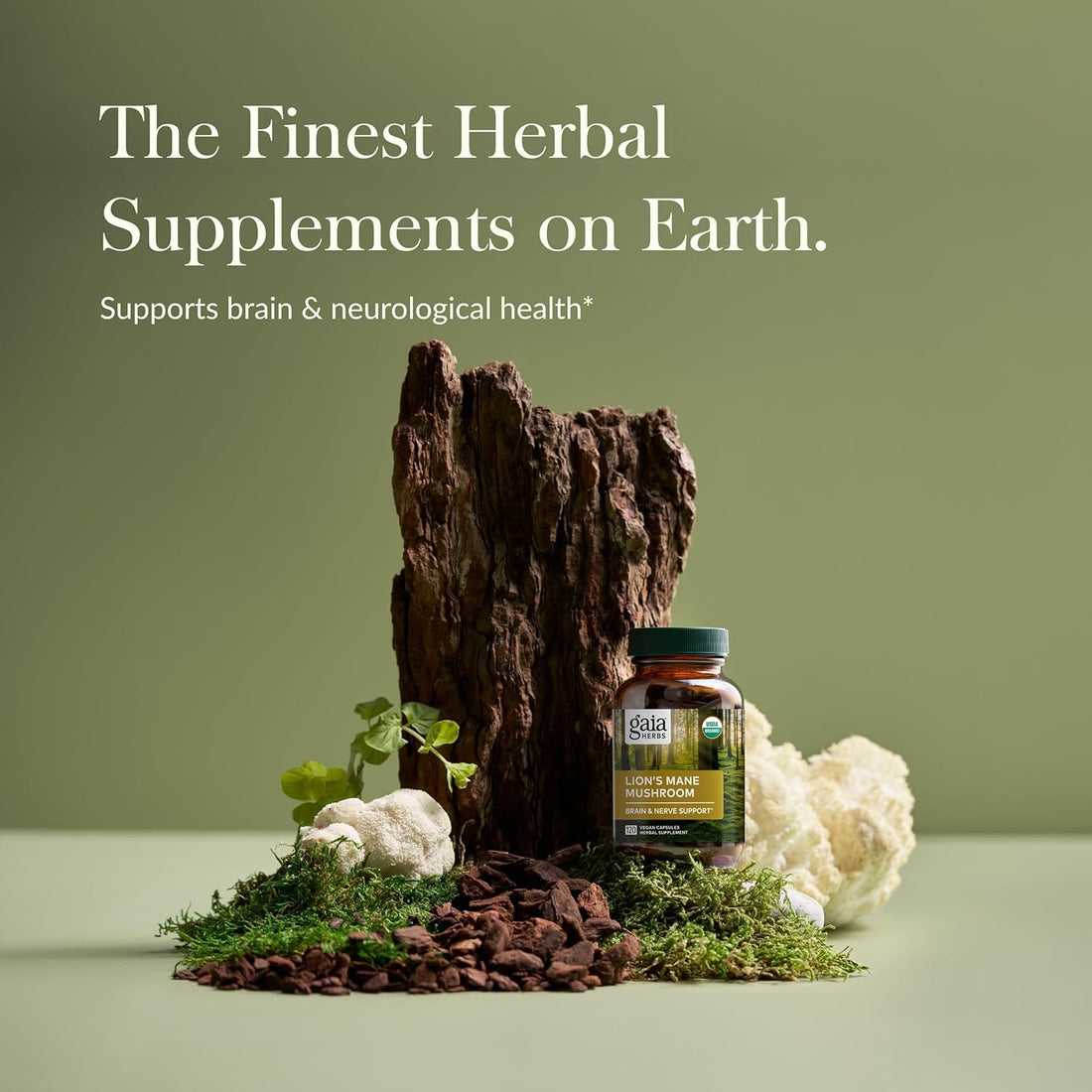 Lion’S Mane Mushroom - Brain & Nerve Health Support - 120 Vegan Capsules