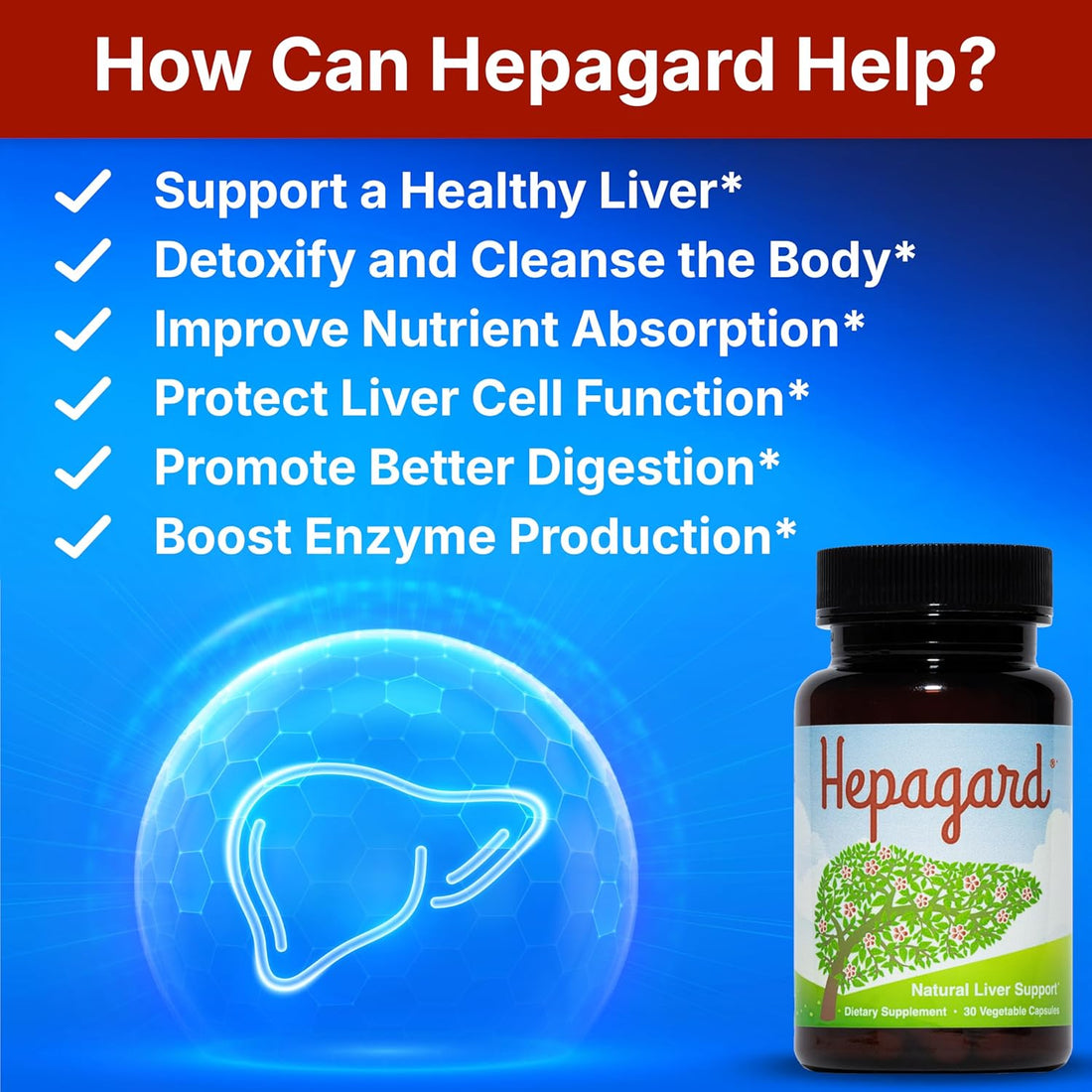 Natural Liver Support Supplement Capsule with N-Acetyl Cysteine (NAC) - Non-Gmo, Gluten-Free