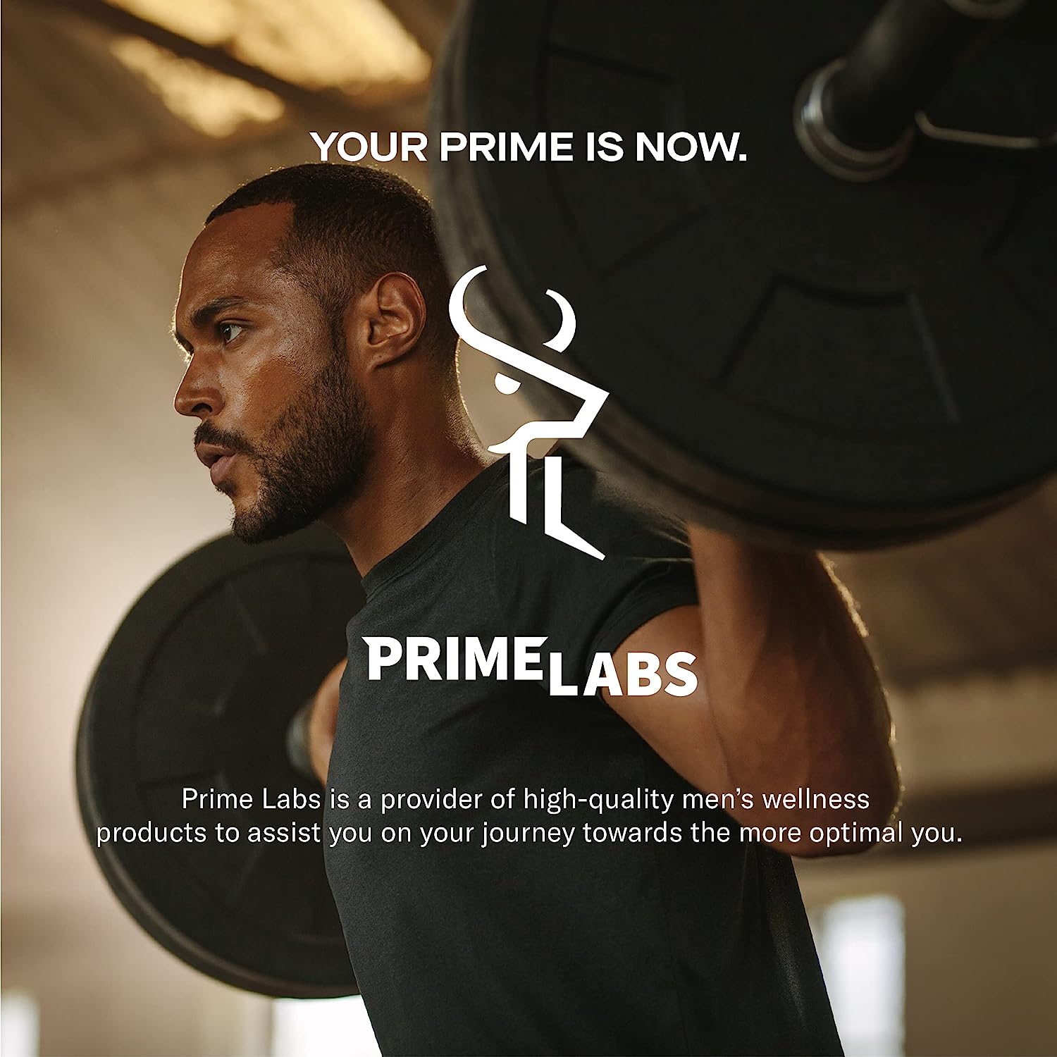 Prime Labs - Men'S Testosterone Booster - Stamina, Endurance, & Strength Booster - 60 Caplets